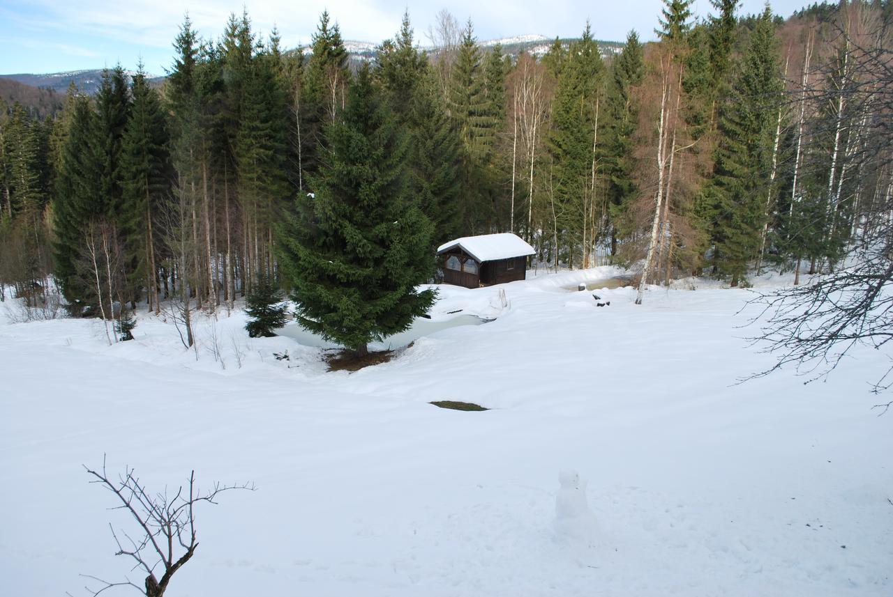 Ferienhaus "Lisa'S Haeusl" Neuschonau Bagian luar foto