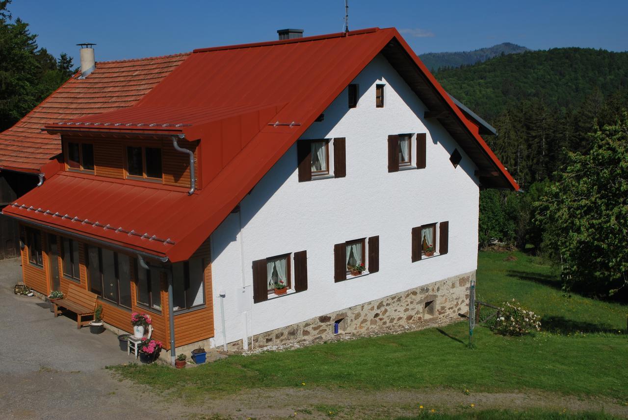 Ferienhaus "Lisa'S Haeusl" Neuschonau Bagian luar foto