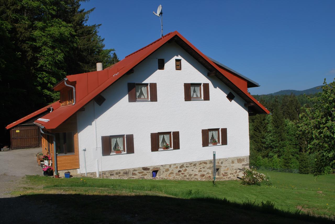 Ferienhaus "Lisa'S Haeusl" Neuschonau Bagian luar foto