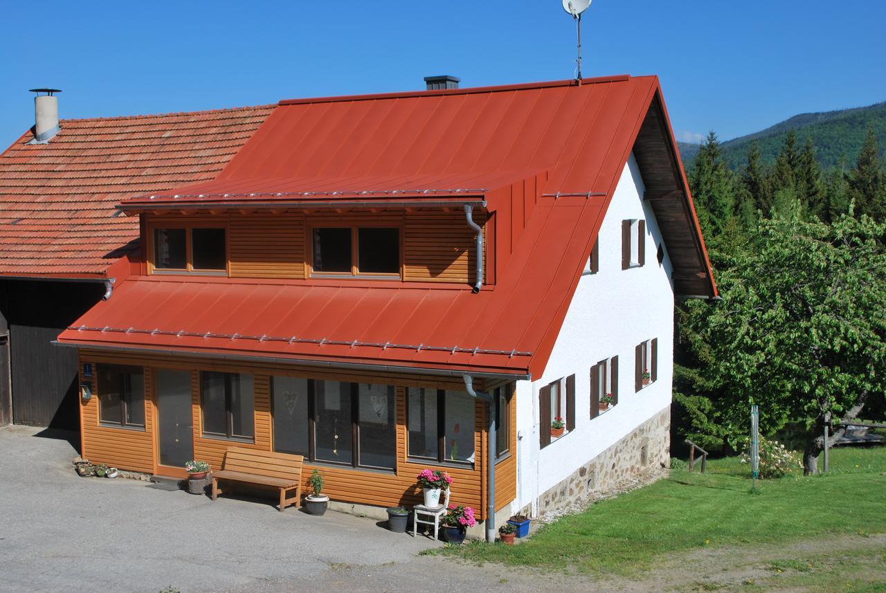 Ferienhaus "Lisa'S Haeusl" Neuschonau Bagian luar foto