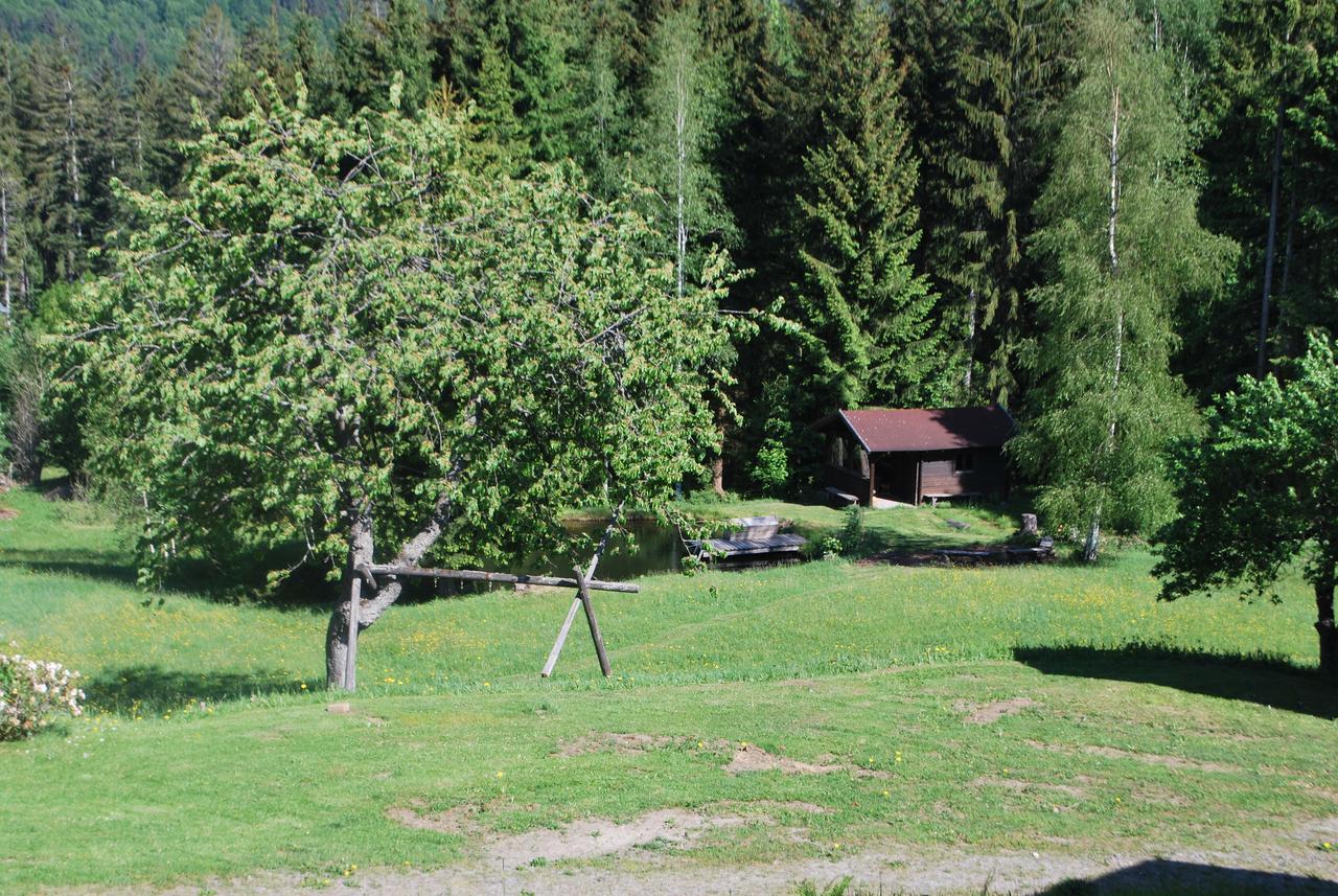 Ferienhaus "Lisa'S Haeusl" Neuschonau Bagian luar foto